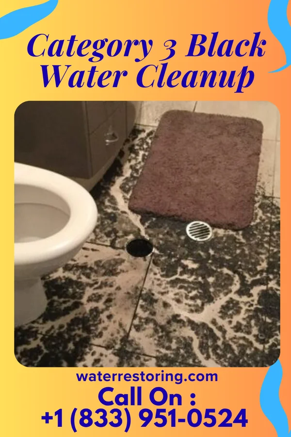 Category 3 Black Water Cleanup in Richmond West, FL